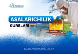Asalarichilik 