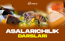 Asalarichilik yetishtirish