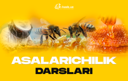 Asalarichilik 