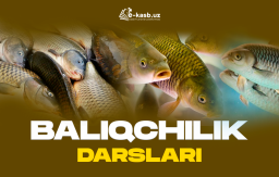 Baliqchilik